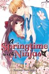 A-Springtime-with-Ninjas.jpg