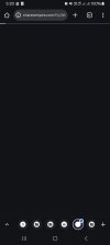 Screenshot_20250925_172037_Chrome.jpg