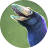 M1G4D1N0